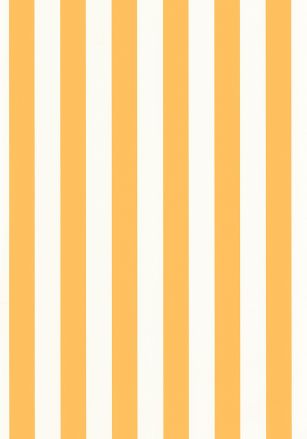 Papier  Peint Little Lines Caselio