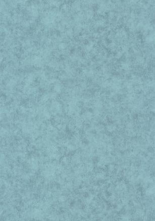 Papier  Peint Uni Mat Caselio