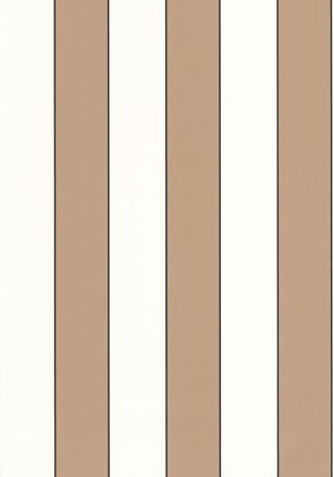 Papier  Peint Golden Lines Caselio