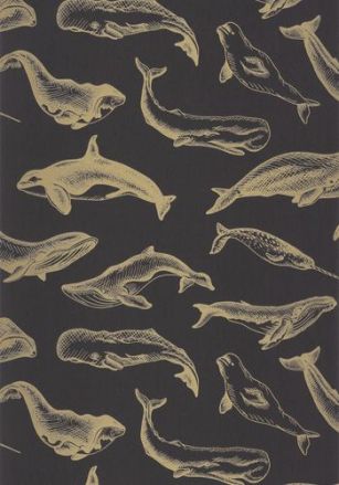 Papier  Peint Whale Done Caselio