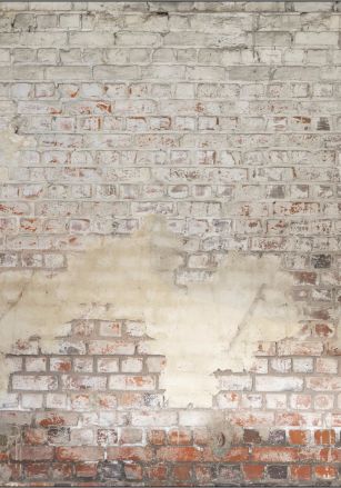 Panoramique Brickwall Caselio