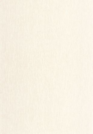 Papier  Peint Uni Mat Caselio