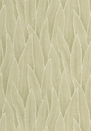 Papier  Peint Sansevieria Casadeco