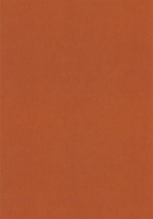 Papier  Peint Uni Caselio