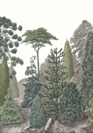 Panoramique Pinede Casadeco