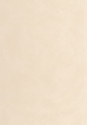Papier  Peint Uni Caselio