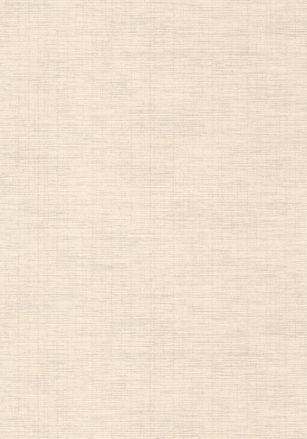 Papier  Peint Tissage Casadeco