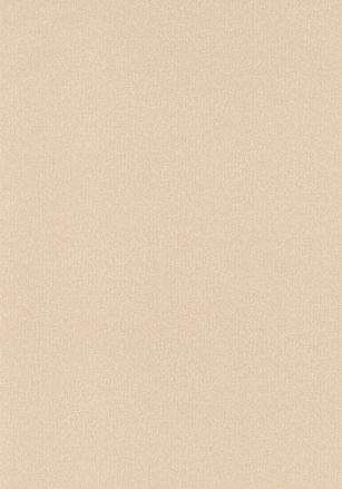 Papier  Peint Chevron Uni Caselio
