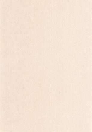 Papier  Peint Uni Mat Caselio