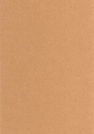 Papier  Peint Uni Mat Caselio