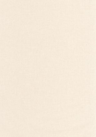 Papier  Peint Uni Caselio