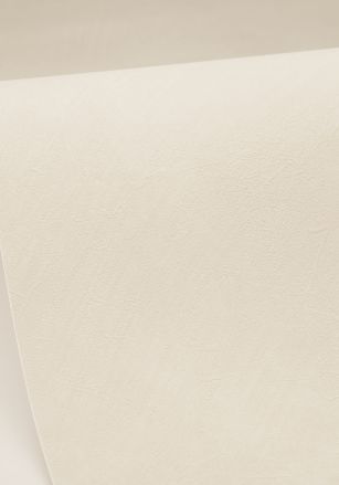 Papier  Peint Uni Mat Caselio