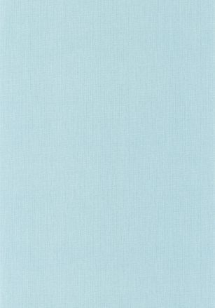 Papier  Peint Uni Natte Caselio