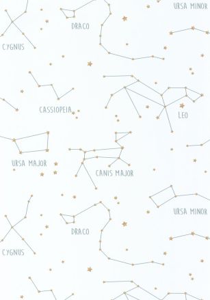 Papier  Peint Our Planet Constellations Caselio