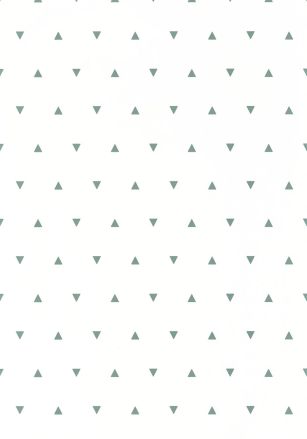 Papier  Peint Our Planet Bermuda Triangle Caselio