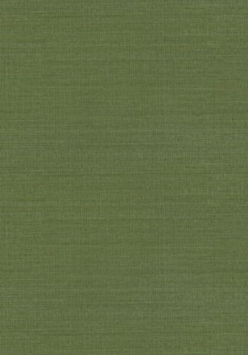 Papier  Peint Sora Casamance