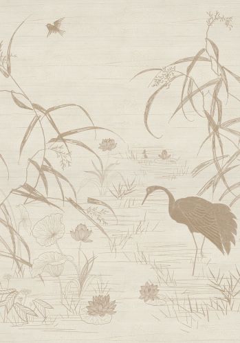 Panoramique Nuido Casamance