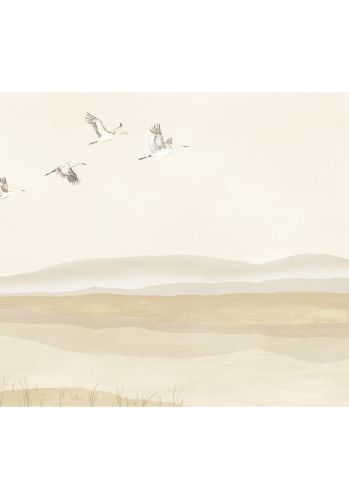 Panoramique Lagune Casamance