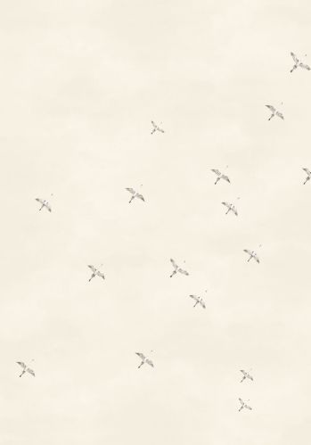 Panoramique Lagune Celeste Casamance