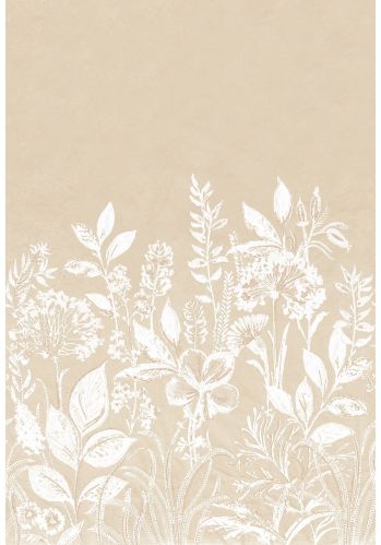 Panoramique Camelia Casamance