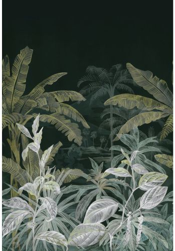 Panoramique Olea Casamance