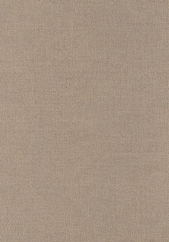 Papier  Peint Rhodium Casamance