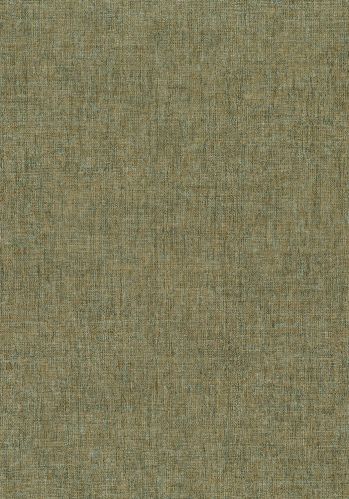 Papier  Peint Diola Casamance