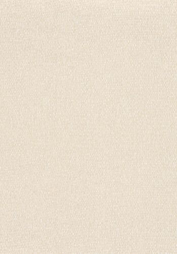 Papier  Peint Roseau Casamance