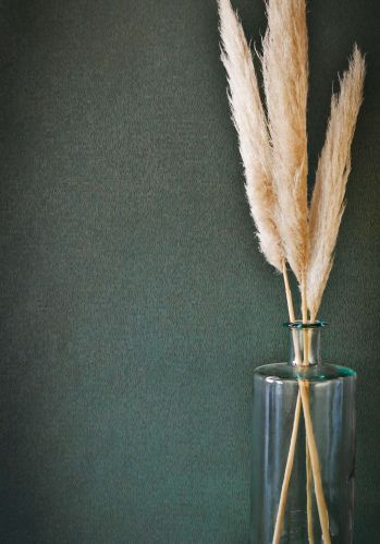 Papier  Peint Roseau Casamance