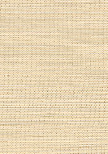 Papier  Peint Zostera Casamance