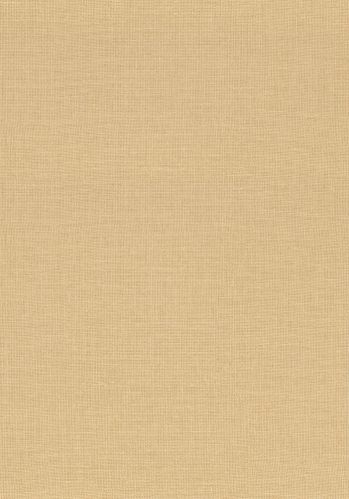Papier  Peint Lienzo Casamance