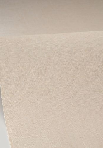 Papier  Peint Uni Mat Caselio