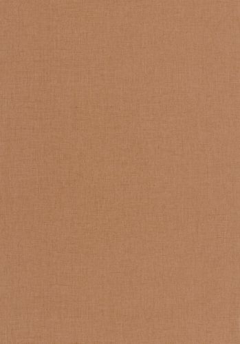 Papier  Peint Uni Mat Caselio