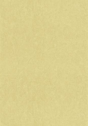 Papier  Peint  Arts & Crafts Kiosque Casadeco
