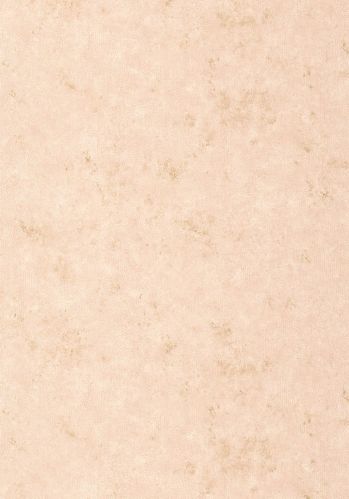 Papier  Peint Uni Metallise/ Irise Caselio