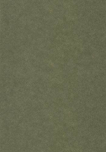 Papier  Peint Uni Metallise/ Irise Caselio