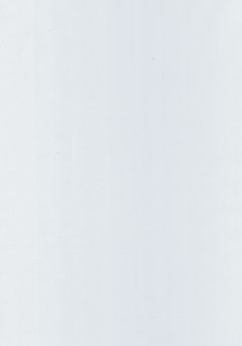 Papier  Peint Uni Caselio