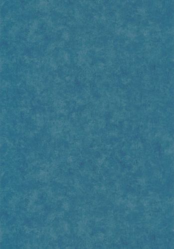 Papier  Peint Beton Uni Caselio
