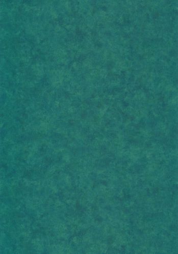 Papier  Peint Beton Uni Caselio