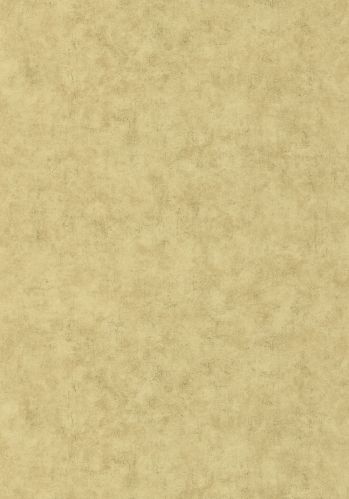 Papier  Peint Beton Uni Caselio