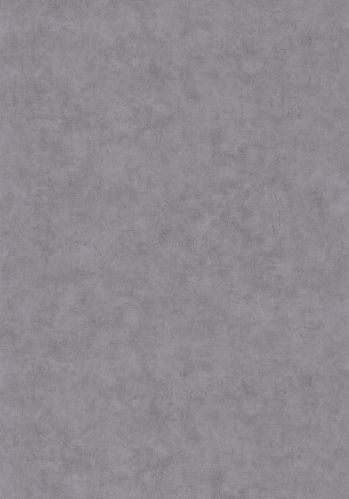 Papier  Peint Beton Uni Caselio