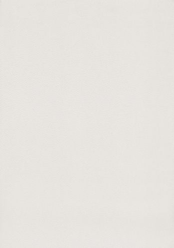 Papier  Peint Beauty Full Color Casadeco