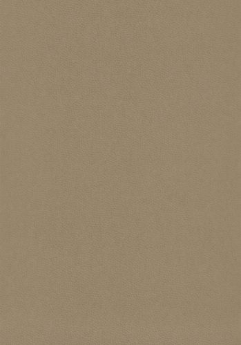 Papier  Peint Beauty Full Color Casadeco