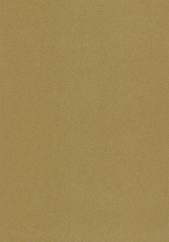 Papier  Peint Beauty Full Color Casadeco