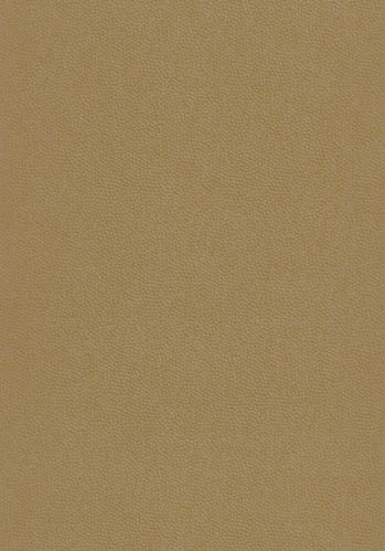 Papier  Peint Beauty Full Color Casadeco