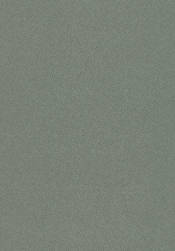 Papier  Peint Beauty Full Color Casadeco