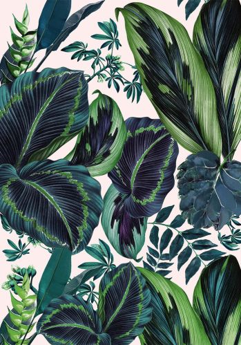 Echantillon Papier Peint Beauty Full Image Panoramique The Pink Jungle Caselio