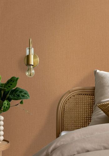 Papier  Peint Uni Beauty Full Image Caselio