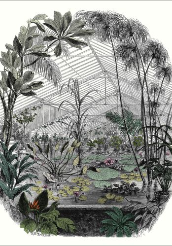 Echantillon Papier Peint Panoramique Jardin D'hiver Caselio