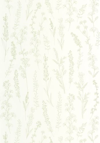 Papier  Peint Carnet Botanique Casadeco